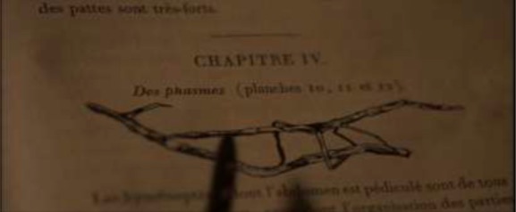 Master and Commander fotograma