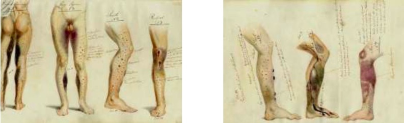 Master and Commander pictures