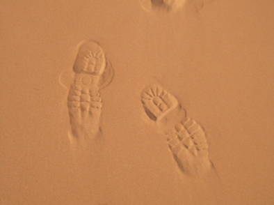 reflexiones-nocturnas