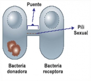 otrosgeneros_unaguerra